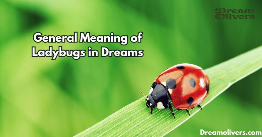 General Meaning of Ladybugs in Dreams