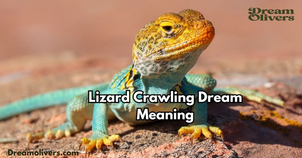 Lizard Crawling Dream Meaning