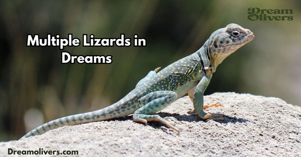 Multiple Lizards in Dreams