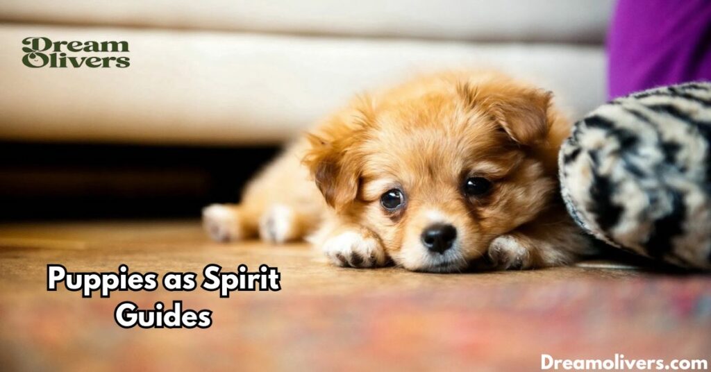 Puppies as Spirit Guides