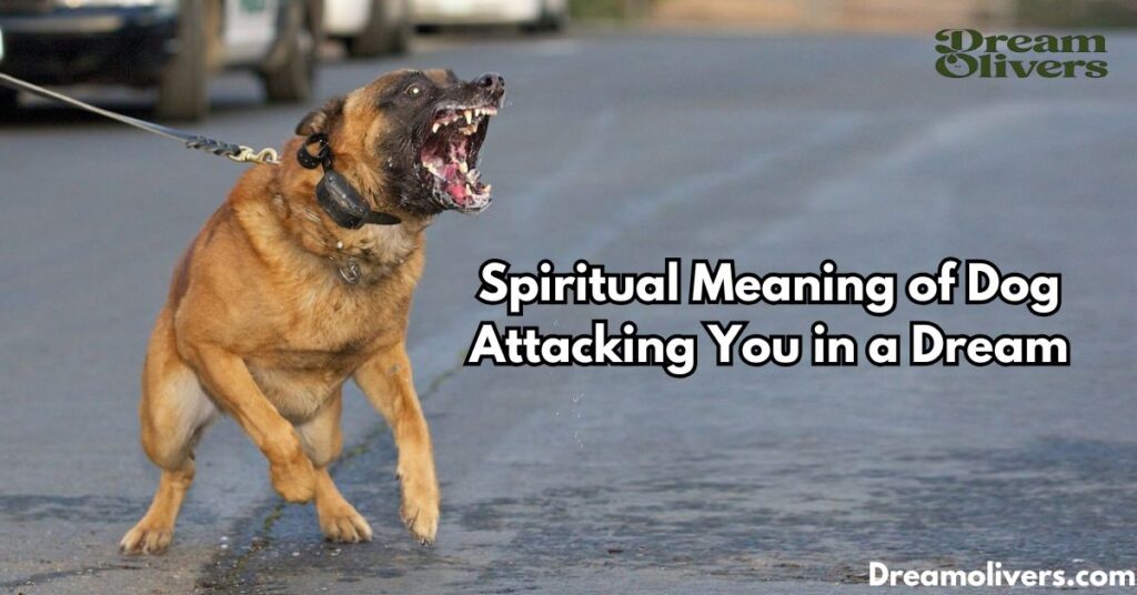 Spiritual Meaning of Dog Attacking You in a Dream