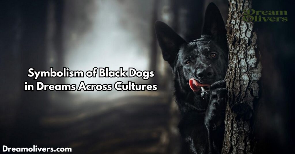 Symbolism of Black Dogs in Dreams Across Cultures