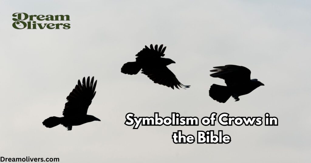 Symbolism of Crows in the Bible