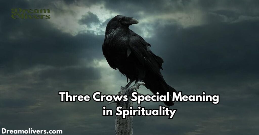 Three Crows Special Meaning in Spirituality