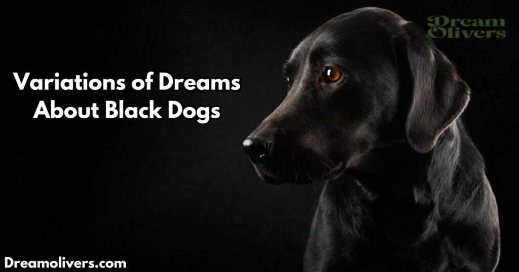 Variations of Dreams About Black Dogs