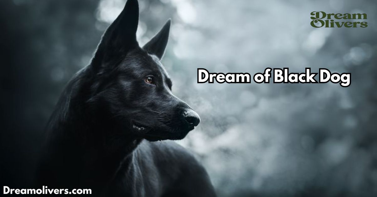 dream of black dog