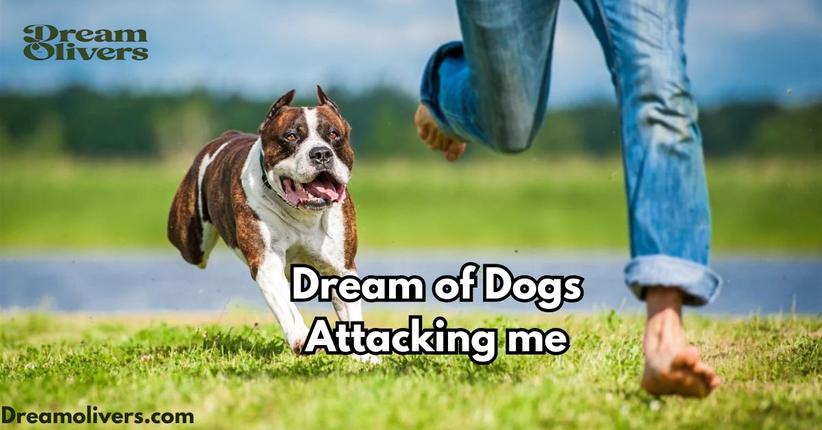 dream of dogs attacking me