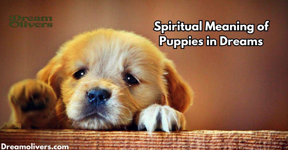 spiritual meaning of puppies in dreams