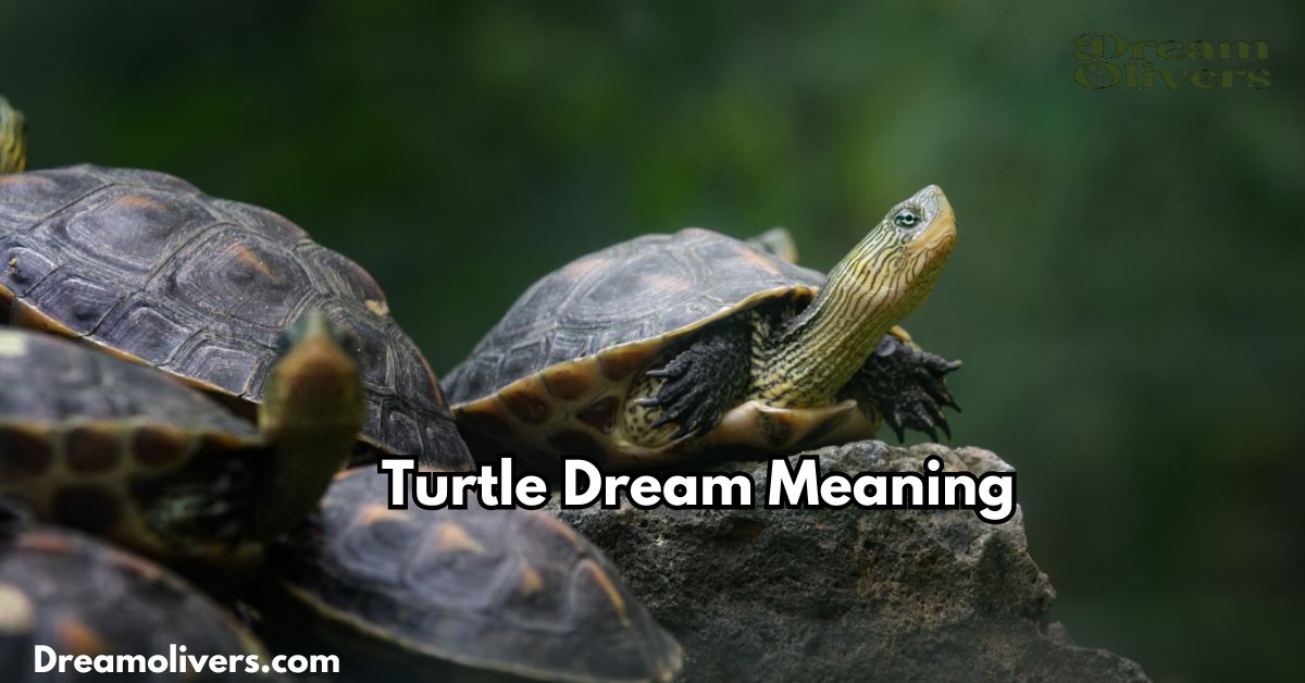 turtle dream meaning