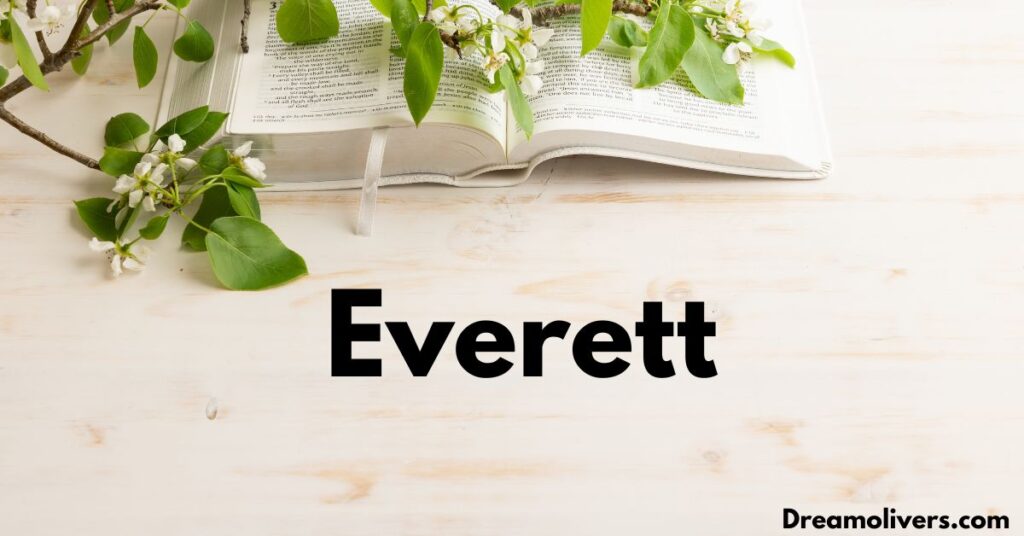 Everett in Modern Culture Popularity and Usage