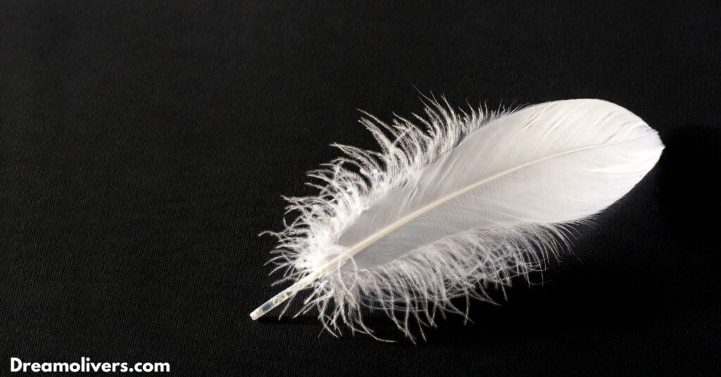 Role of Feathers in Christian Life