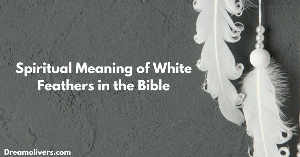  Spiritual Meaning of White Feathers in the Bible