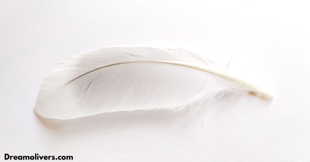 Symbolism of Grey and White Mixed Feathers in the Bible