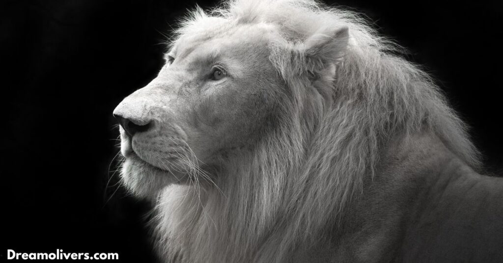 The Spiritual Meaning of the White Lion